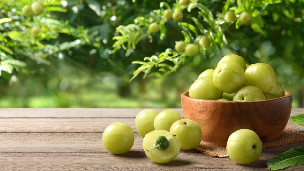 The Indian Gooseberry: Amla’s health benefits and Medicinal use