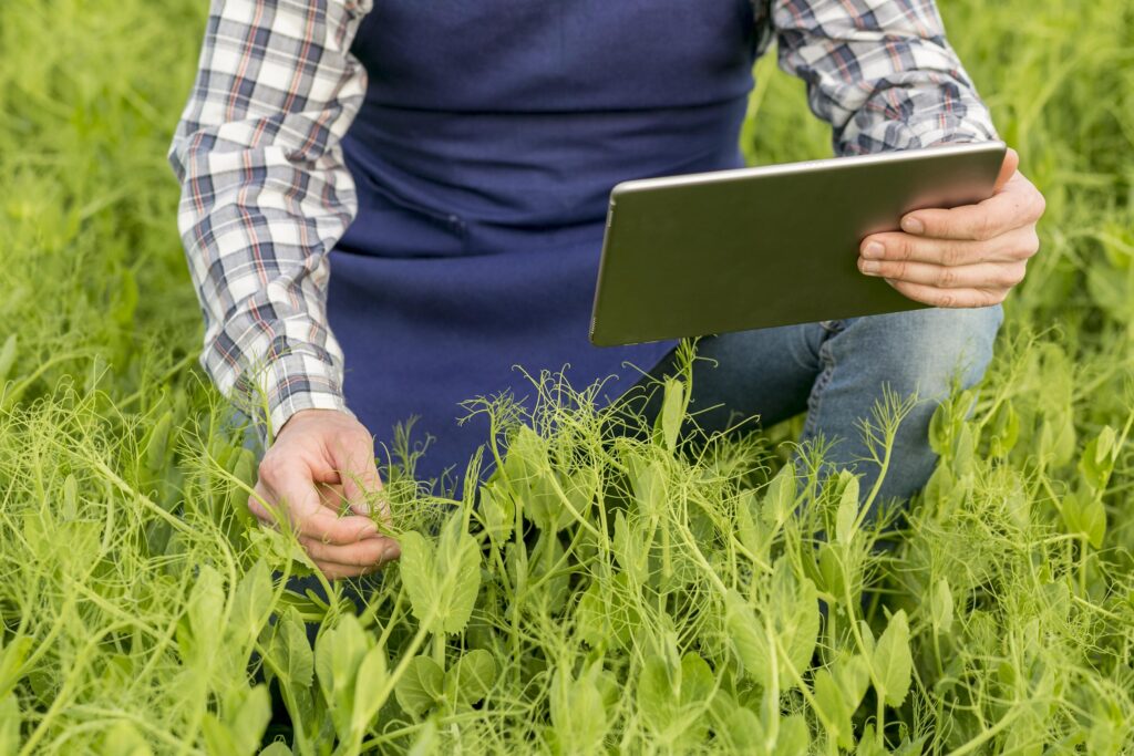 AI in Agriculture