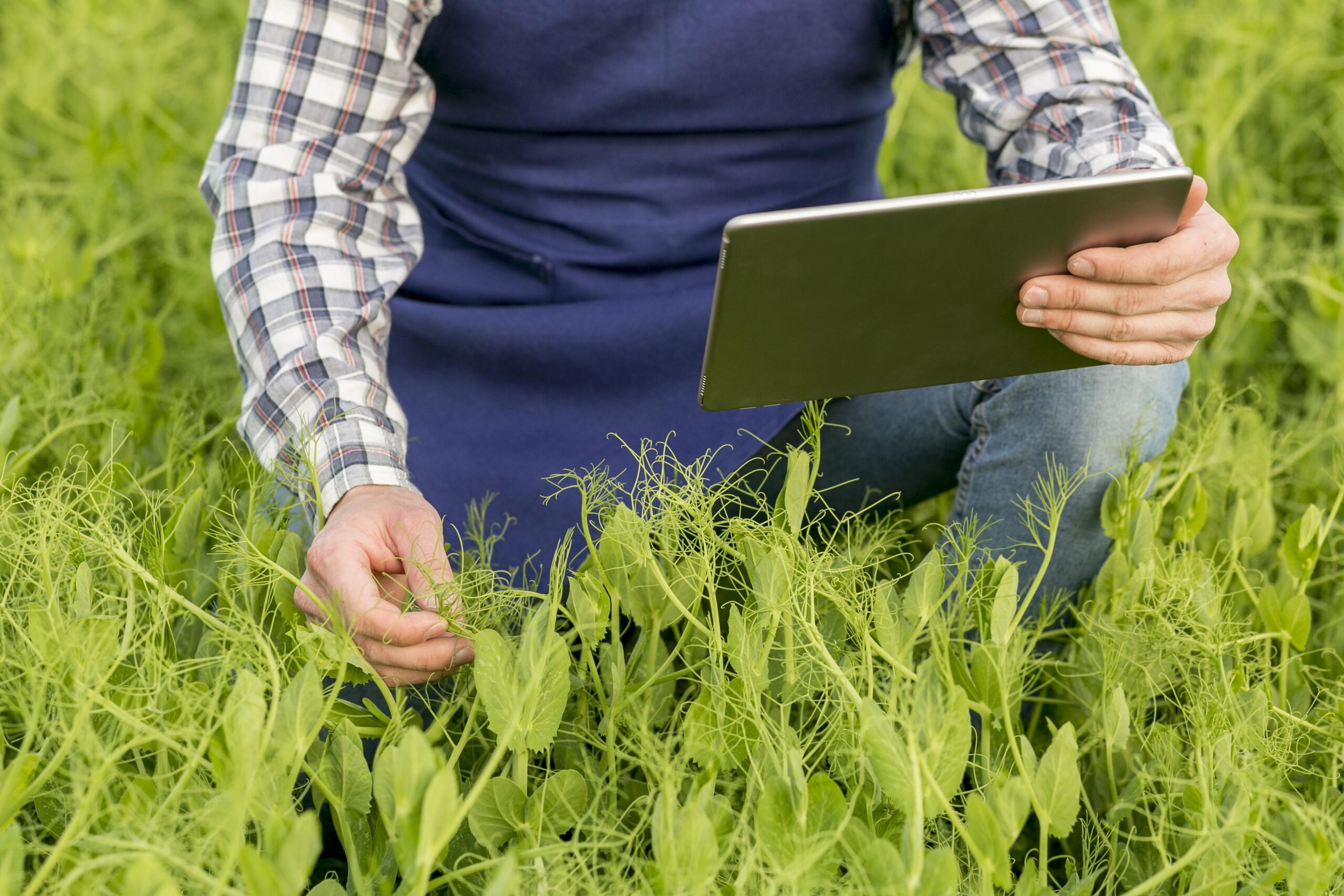The Future of Farming: AI in Agriculture, Benefits, and Uses